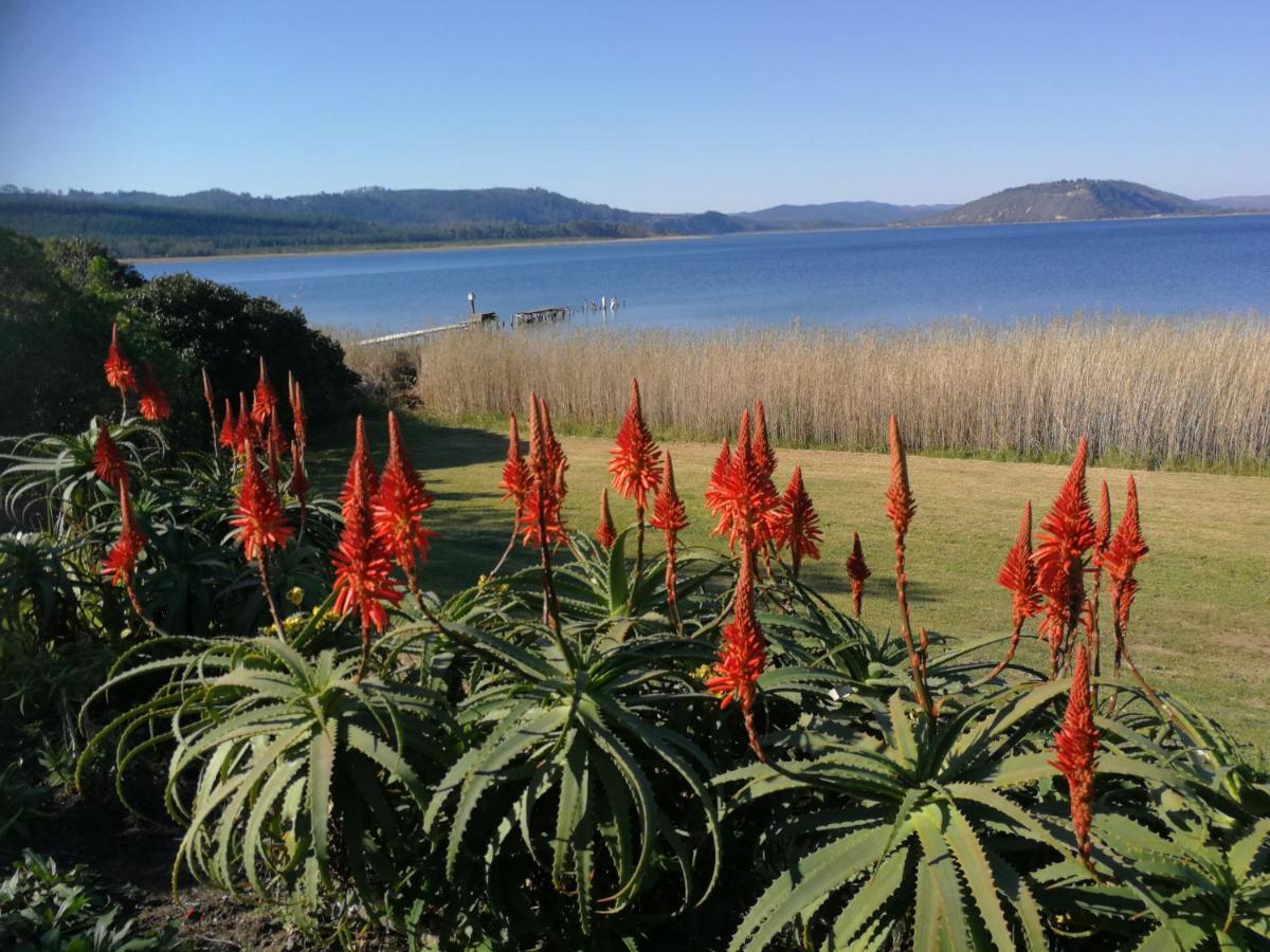 סדג'פילד Kairos On The Lake, Swartvlei Lake, Sedgfield, Garden Route מראה חיצוני תמונה