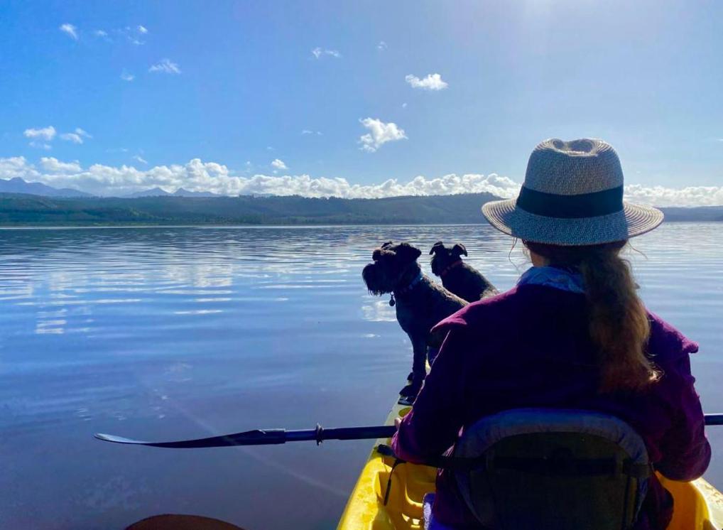 סדג'פילד Kairos On The Lake, Swartvlei Lake, Sedgfield, Garden Route מראה חיצוני תמונה